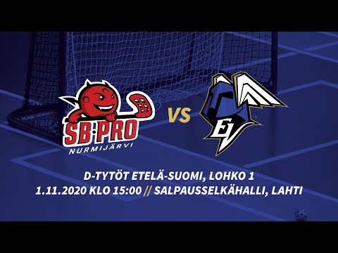 SB-PRO – ERÄVIIKINGIT // D-TYTÖT ETELÄ-SUOMI, LOHKO 1 // 1.11.2020