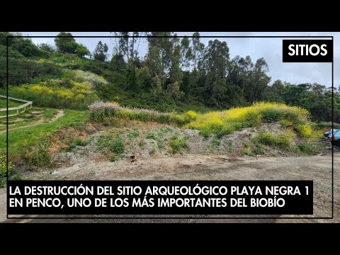 La destrucción del sitio arqueológico Playa Negra 1 en Penco, uno de los más importantes del Biobío