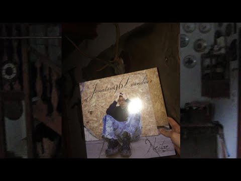 VinylVlog jonatan leandoer96 - Nectar