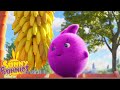 SUNNY BUNNIES BANANAS Season 7 COMPILATION Cartoons For Kids