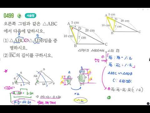 [Strong Middle School Math 2-2] Question 499