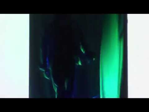 Chupate Esta Mandarina  Nilo pantoja en arg..