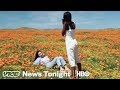 Instagrammers Are Killing This Field Of Poppies (HBO)