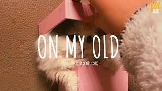 Download lagu On My Old - DJ Rabbit // (Vietsub   Lyric) Tik Tok Song mp3