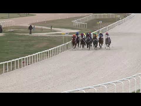 2021.04.11. 01. futam - NYERETLENEK VERSENYE (V.kat.) (szintetikus pálya)