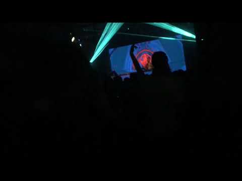 Deborah De luca | Peter Portman Hangar Luka