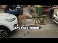 Traveller Man Looking For Who Took His Designer Handbag