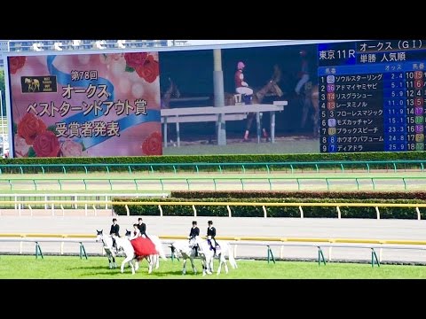 2017.05.21オークス優駿牝馬(G1)本馬場入場＆返し馬＆ベストターンドアウト賞発表＠東京競馬場
