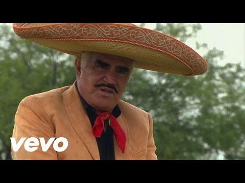 Me Llevaras en ti - Vicente Fernández