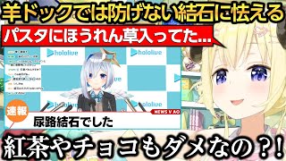 羊ドックでは防げない結石に怯えるわため/尿路結石になったかなたんを心配するノエラミ【天音かなた/白銀ノエル/角巻わため/雪花ラミィ】