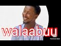 Lencho Gemechu Walaabuu Official Video