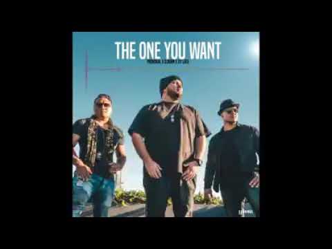 "The One You Want" - Provokal x D.Burn (feat. Xy)