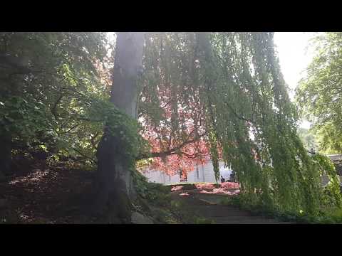 Norrviken Båstad - Japanska trädgården