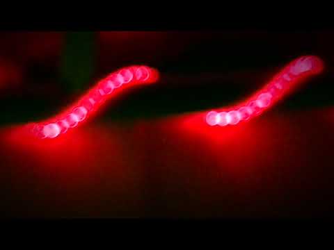 Brev från en bakgård (Rolf Johansson version) Peter LeMarc cover