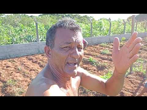 RANCHO DO CARRETEIRO BELÉM ALAGOAS BRASIL (1)