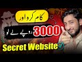 Secret Online Work Without Investment | Do Work Get Paid