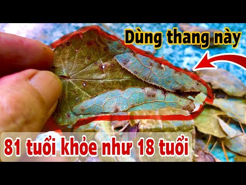 Dùng thang này 81 khỏe như 18 tuổi, PHAN HẢI Channel