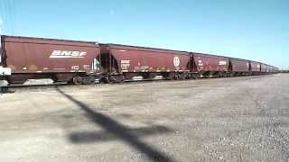 preview picture of video 'BNSF 7265 grain train west [HD]'