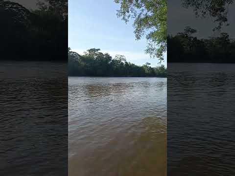 río San Miguel Putumayo. #putumayo #rutasypaisajes #travel #nature #turismo