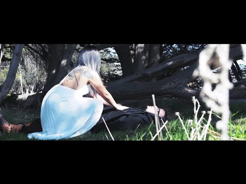 Profedik - P.R.O. (Official Video)