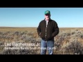 sage grouse in phillips county part 1