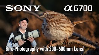 Sony a6700 Bird Photography 200-600mm Lens! Cold Morning!