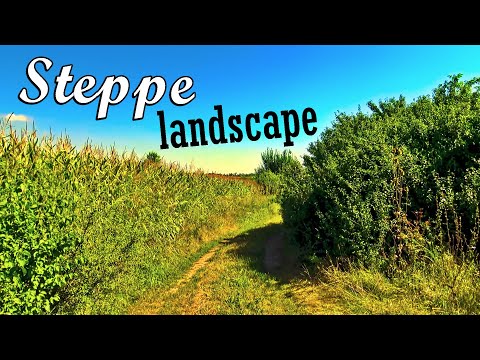 Pârâul Peța și peisajul de stepă dintre Sânmartin și Oradea, filmate în 4K