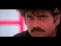 Inka Yedo Kaavalantu Video Song Ninne Pelladatha Movie Nagarjuna Tabu