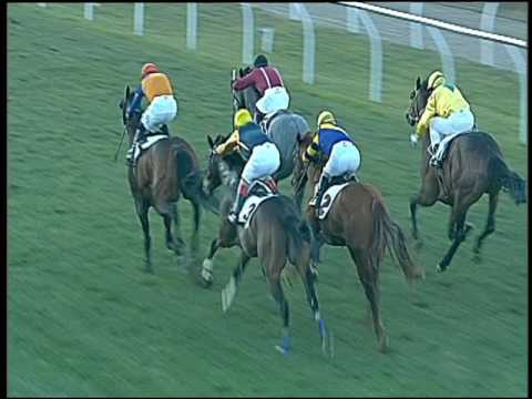 Galoppo 07/01/2017 - 3ª corsa