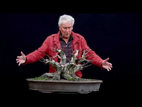 SandevBonsai - 2018. Bonsai sessions with Walter Pall/Part 11