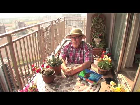 園芸 民族植物学