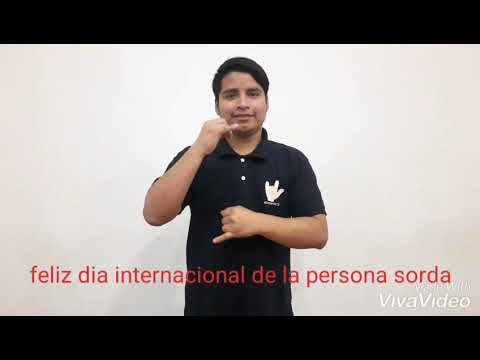 Modelo linguistico (LSP)