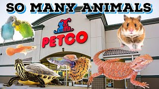 ALL The ANIMALS at PETCO!!