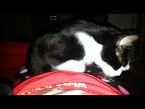 This is what love is.