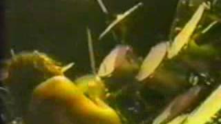 Skid Row - My Enemy (Live Korea 95)