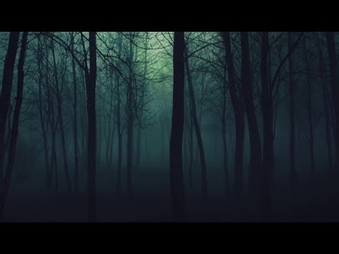 Forrest at night - crickets owls rain wind in trees - relaxing sound
