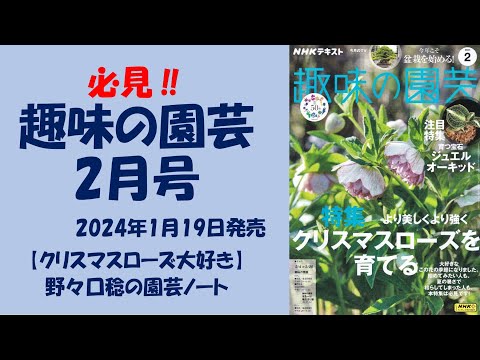 2024年の満月 段階に応じて月を使ってガーデニングをする方法 庭に何を植えるか