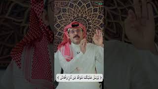 مسائل نافع بن الأزرق لابن عباس: معنى (يرسل عليكما شواظٌ من نار) image