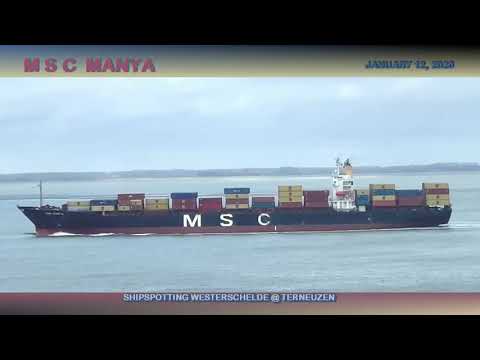 Shipspotting Westerschelde @ Terneuzen - "MSC Manya" - 12-01-2020 (1)