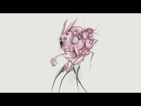 Bruses - Trash (Audio)