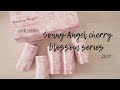 Sonny Angel Sakura Series Review 14 Daphnefroggy