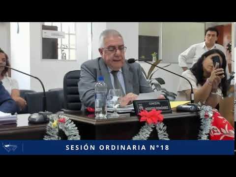 SESIÓN ORDINARIA N° 18