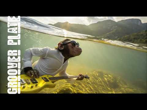 The sun - Groover Plate