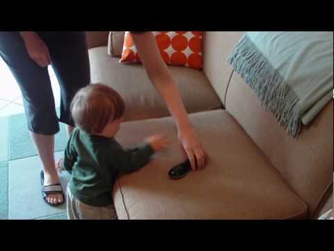 Positive and Negative Reinforcement