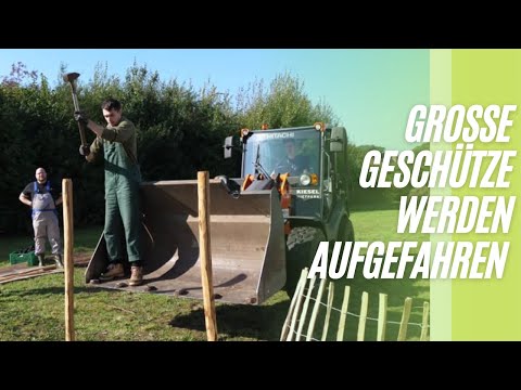 Gartenumbau an einem Tag mit  @FelixHobbyGarten  @JohannasLandlebenundKüche