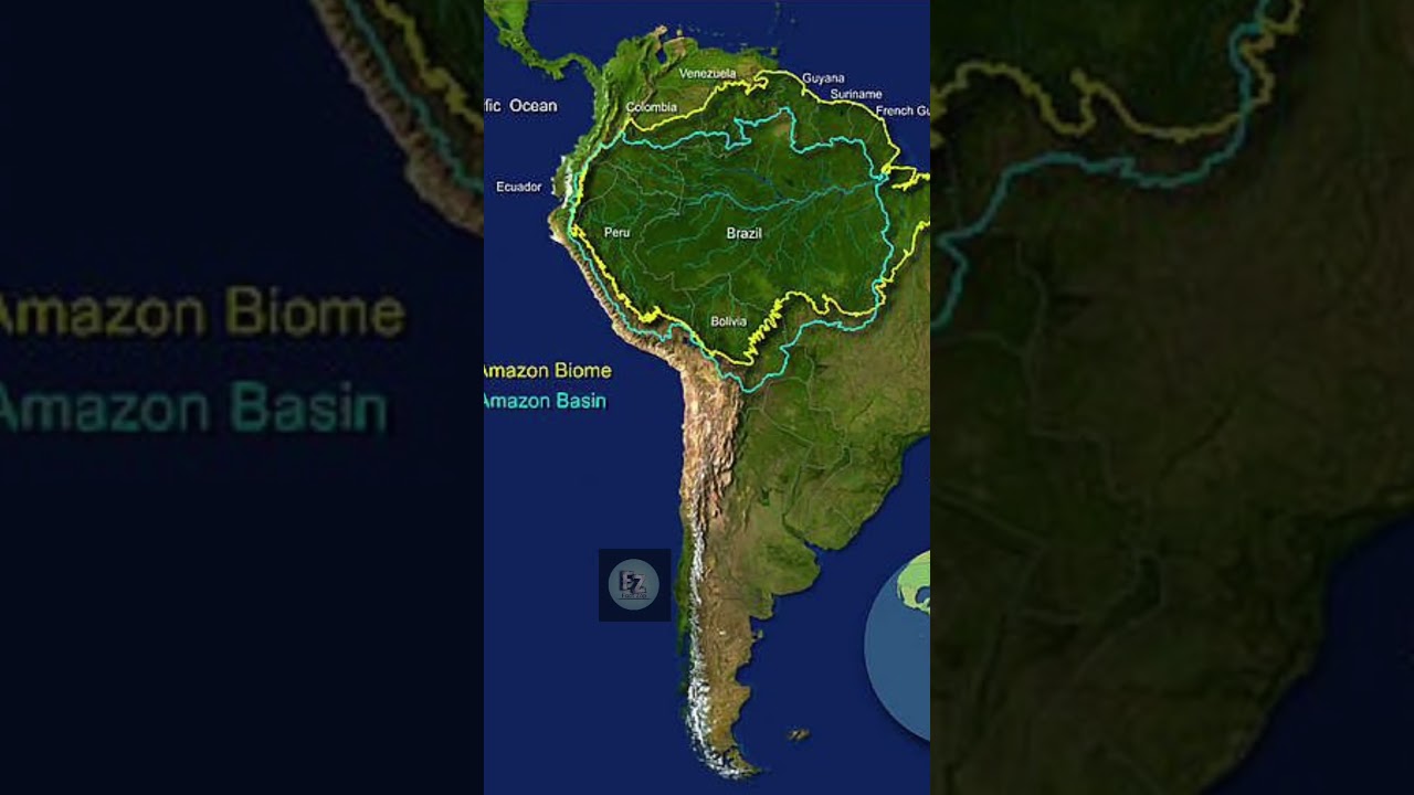 how many countries does the amazon forest cover 🤔 | Amazon forest | Fact
