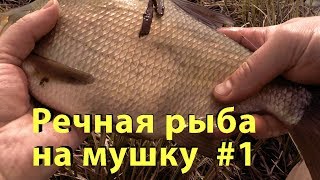 Ссылка