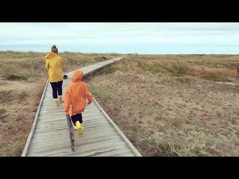 Päiväretki Hailuotoon 3.8.2021