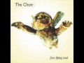 The Choir - 1 - Salamander - Free Flying Soul (1996)