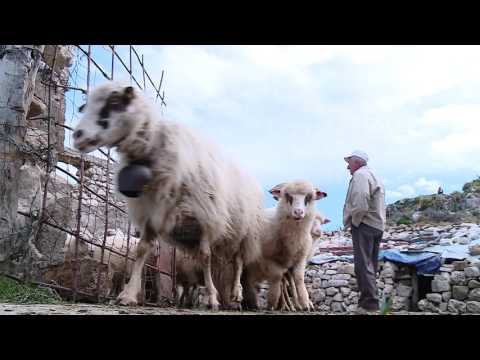 Fiks Fare Highlights, 02/05/2016 - Pjesa 2